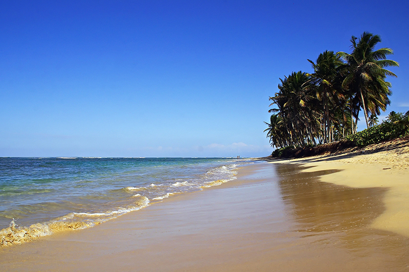  Playa Bavaro: O melhor refúgio Caribenho.